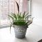 Hot Sale House Japanese Cheapest Modern Design Custom Printed Indoor Planter Flower Pots