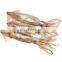 frozen todarodes pacificus squid todarodes squid japanese flying squid