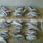 Sardinella lemuru from Chinese Manufacture