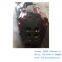 DAIHATSU DAIHATSU 6DK28 DAIHATSU 8DK28  CYLINDER HEAD-C E285670030
