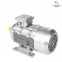 Three Phase Electric Motor CCC CE for Pump Fans,  High Efficiency Motor