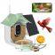 Ringsee solar-powered bird feeder smart wifi outdoor bird feeder 3MP bird feeder with camera
