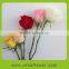 Alibaba china hot selling high quality fresh cut flowers roses in India