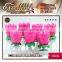the most popular MUSIC birthday Lotus flower candle export in 2015