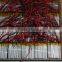 3.7v lithium li ion polymer battery / 053048 650mah li polymer battery