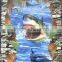 interior decoration Unlimited 3D popular design reality products