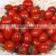 Fresh vegetables canned tomato paste concentrated 28-30%,tomato sauce