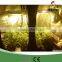 hydroponic grow tent grow tent for indoor use