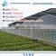 Hot saled cheap PE Plastic Film Greenhouse