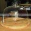 glass food cover,glass dome for fruit,bread