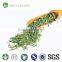 Best selling fields and select zen tea refined Chinese gift best brands green tea