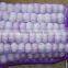 2016 New Crop Normal White Garlic/Purple Garlic/Red Garlic