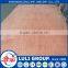 One Time Hot Press Poplar Plywood From China
