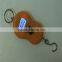 Hand Hold Weighing Scale With Hook