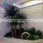 Indoor preserved washingtonia palm tree fake tropical big palm tree