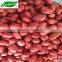 sea flower peanuts kernel