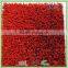 High Quality Cricket Sport Artificial Grass for Cricket Pitch