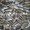 2016 new crop Hulled hybird sunflower seeds 3638 market price