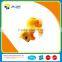 Animal Toy-Plastic Dog Toy