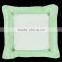 Home Decorative Sofa Seat Cushion, Furit Pillow