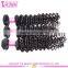 100% remy human hair virgin hair malaysian deep curly hair