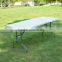 Outdoor White Folding Blow Molding Table