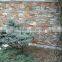 Chinese Wholesaler Hot Interior Cultured Stone