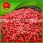 Wholesale Dry Goji Berry Wolfberry Ningxia Goji Berries Herbal Sex Tea