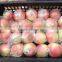 fresh apples