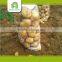 organic export potato with high quality