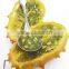 Hybrid F1 Cucumis metuliferus Seeds For Growing