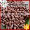 Bulk raw peanuts kernel