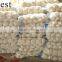 PURE WHITE FRESH GARLIC 4.5CM