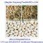 2016 crop blanched peanut kernel with superior quality