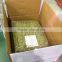 export pumpkin kernel with high quality and best price pumpkin seeds kernel