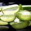 Aloe Vera Gel Exporters,suppliers,wholesalers