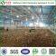 Automatic Chicken Feeding Equipment for Broilers