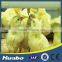 Automatic Poultry Drinking System Chicken Poultry Farm Equipment