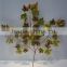 artificial plants artificial leaf branch decor red maple leaf decoration