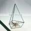 Three drilling (in) triangle glass greenhouse geometry stereo fleshy moss micro ecological container