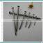2.5" Polished Nail/Common Nail/Wire Nail