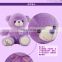 HI CE/ASTM/AZO standard stuffed animal plush toy fragranced teddy bears soft toy