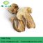 Porcini Porcino Slices Dried Mushrooms
