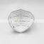 With Exhalation Valve Vertical Fold Dust Mask with Design