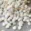 2021 Long Using Life Electric Gnocchi Forming M Achine Gnocchi Machine With Accurate Cutting Effect