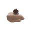 cute polar biodegradable bear ceramic succulent planter plant pot set
