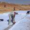Best Sale High Quality Composite Geomembrane, Compound Geomembrane for Road Construction