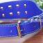 Pet supplies classic 5.0 cm 16 nails wholesale pet dog collar