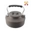 1.2L mini fast boil kettle with bag portable design