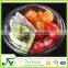 Portable disposable clear plastic clamshell salad bowl